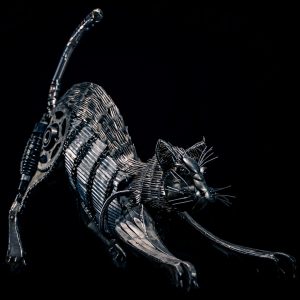 WILDCAT Le chat sauvage