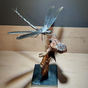 Libellule