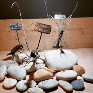 Les crevettes en colère